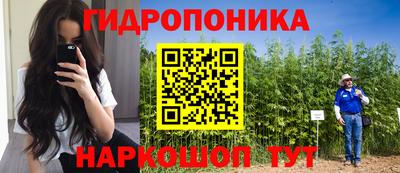 трава Северобайкальск
