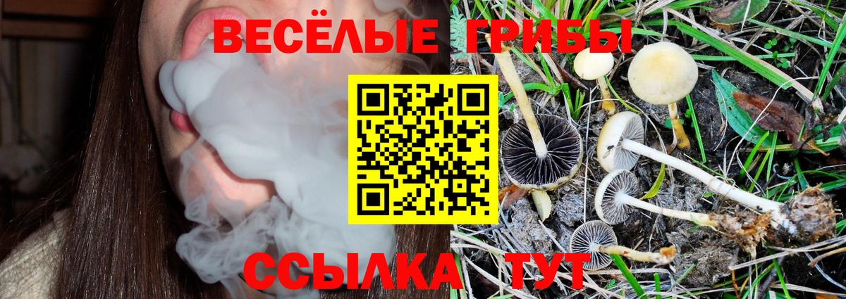 Псилоцибиновые грибы Cubensis Балашиха